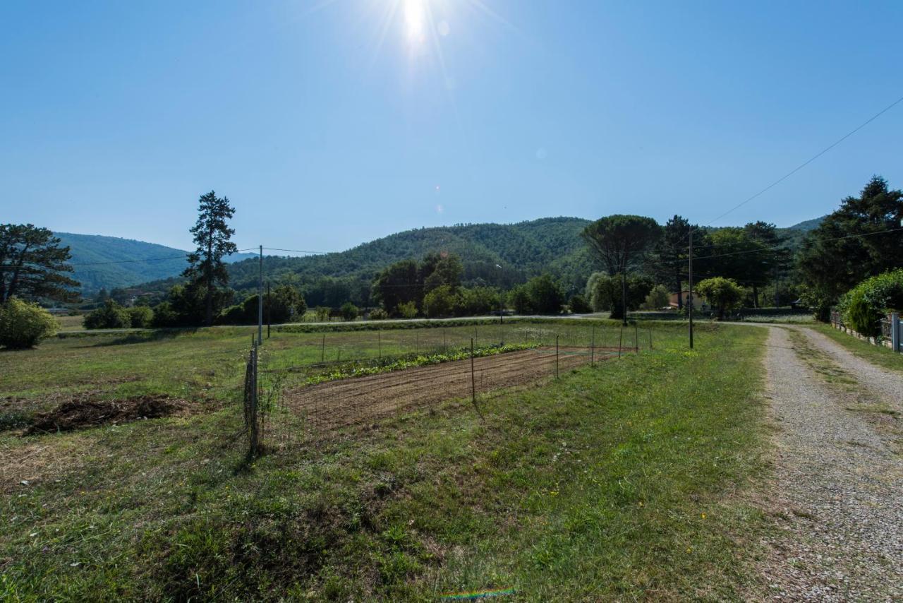 Il Rifugio Di Amelia Arezzo Exterior foto
